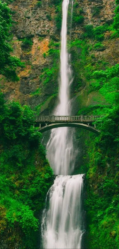 Beautiful waterfall with a serene bridge amidst lush green forest.