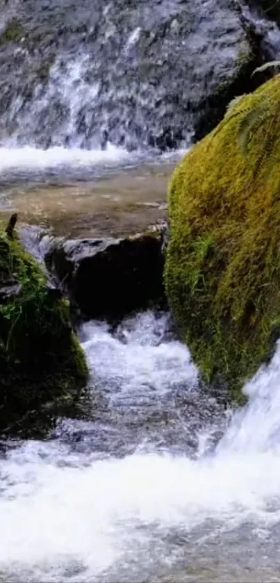 Mossy stream cascading over rocks in a serene natural scene.