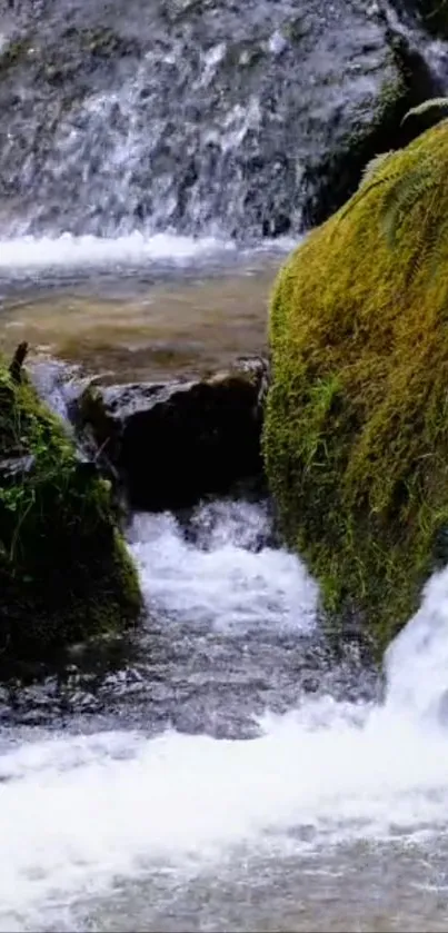 A serene waterfall stream flowing through moss-covered rocks.