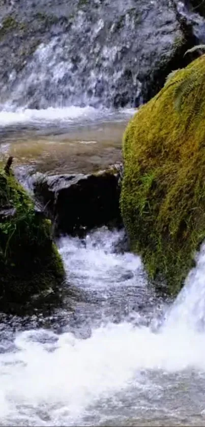 Calming waterfall flowing over mossy rocks in a serene natural setting.