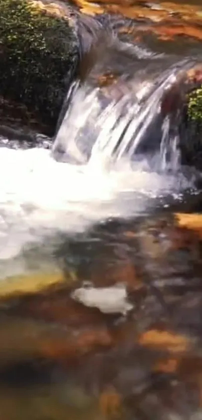 Serene waterfall stream with mossy rocks and autumn hues on mobile wallpaper.