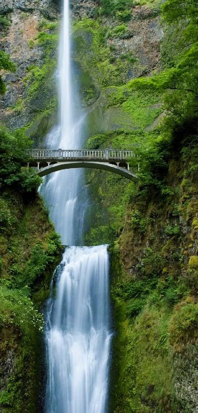 Waterfall flowing under a stone bridge in a lush green forest.