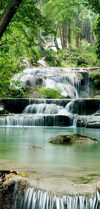 Calming waterfall in lush green forest wallpaper.