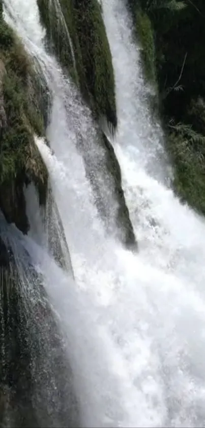 Cascading waterfall amidst lush green foliage.