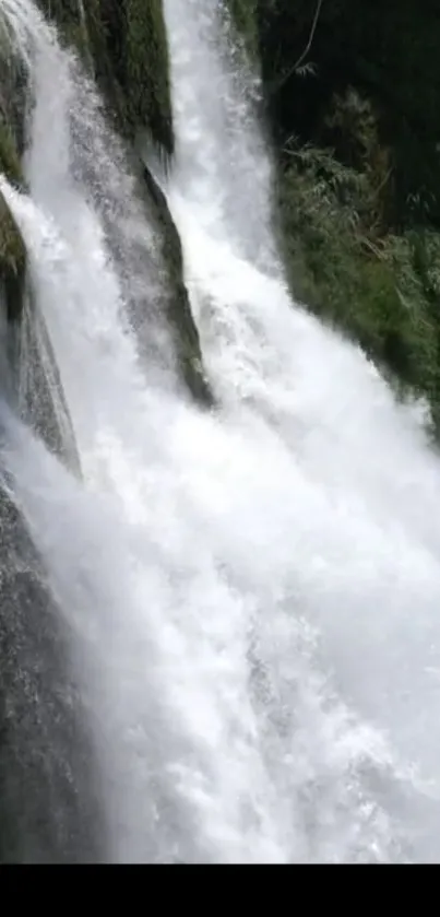 Serene waterfall with white water and lush greenery.