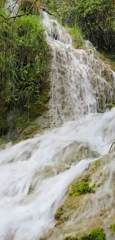 Tranquil waterfall cascading over green rocks and lush vegetation.