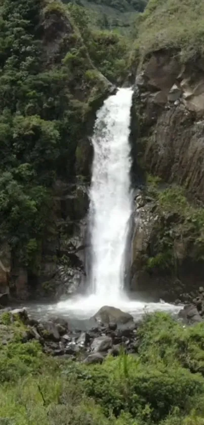 Serene waterfall in lush greenery, perfect for mobile wallpaper.