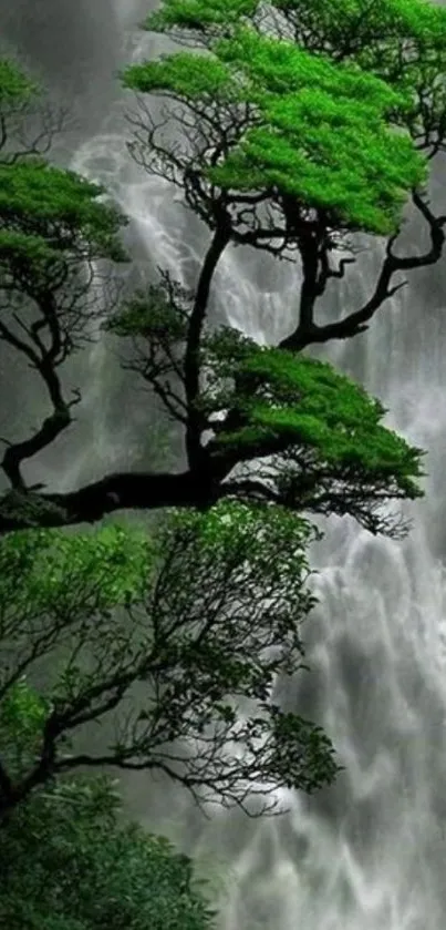 Lush green tree by a flowing waterfall in a serene nature setting.