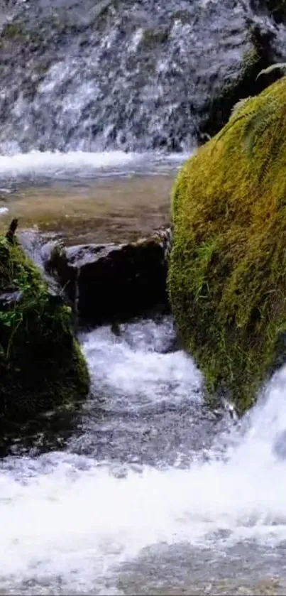 Waterfall flowing over mossy rocks in a serene landscape.