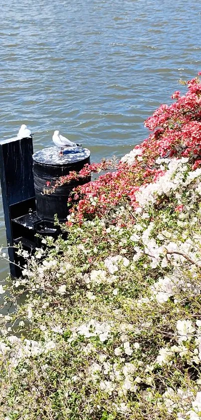 Serene waterfront with vibrant flowers and calm waters.