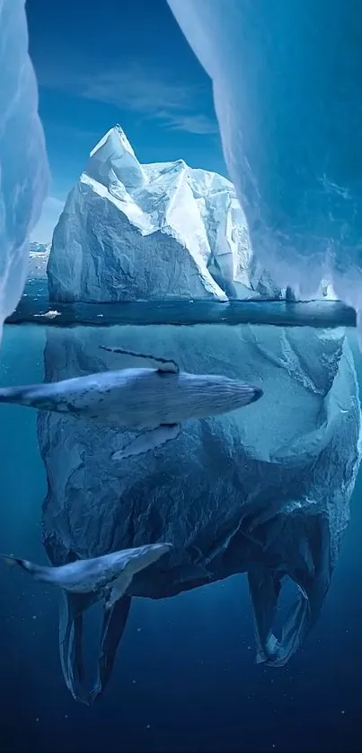 Whale swimming under a towering iceberg in deep blue waters.