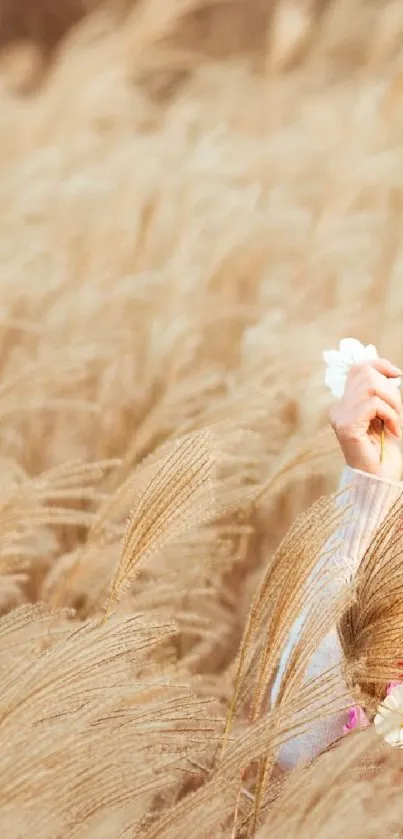 Hand holding flowers in a wheat field mobile wallpaper.