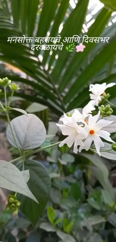 White blossoms with green leaves in a serene background.