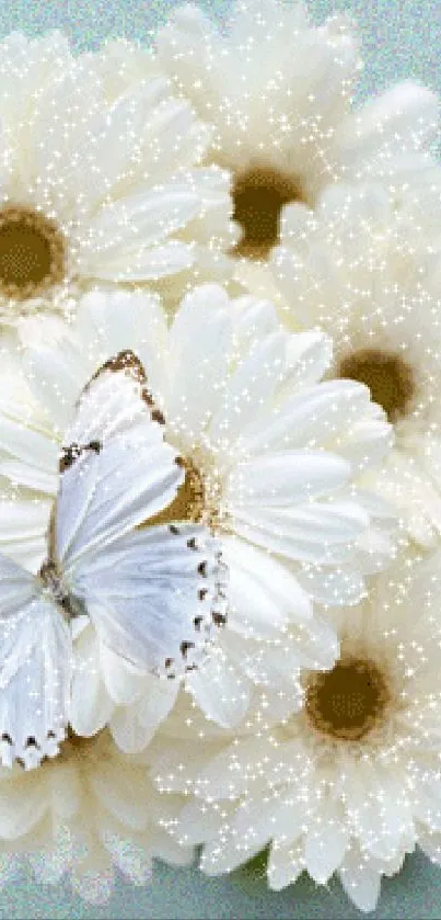 Delicate white daisies with a butterfly on a light green background.