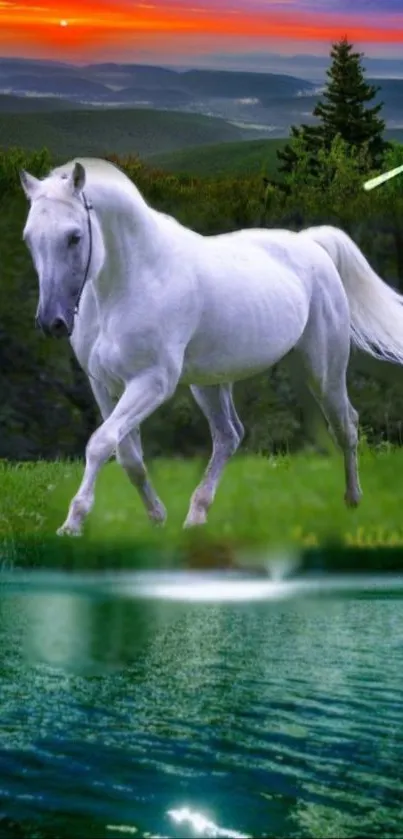 White horse by a lake with sunset in background.