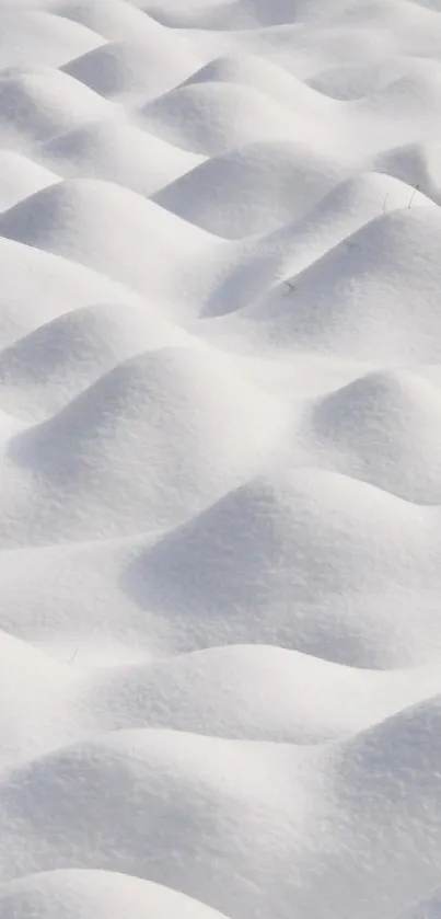Tranquil white snow waves create a serene winter landscape.