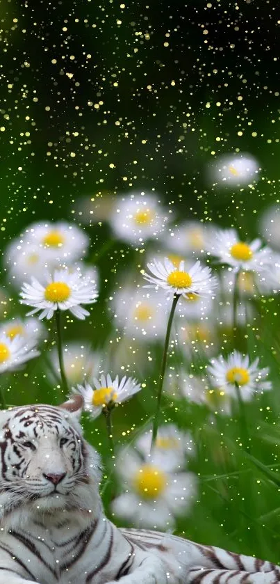 White tiger rests in daisy field with golden accents.