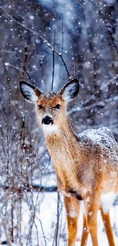 Deer standing in a snowy winter forest, captured beautifully in this mobile wallpaper.