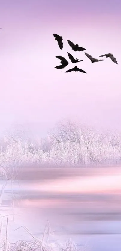 Serene wallpaper of birds flying over frosty winter landscape.