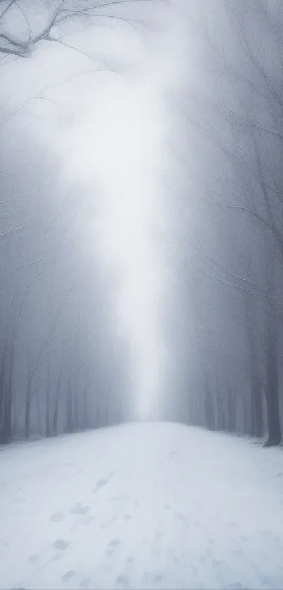 Misty winter forest path with snow-covered trees.