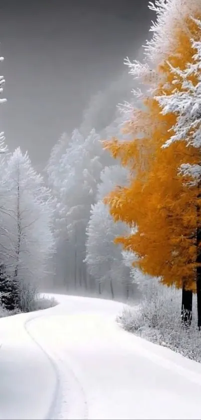 Snowy forest path with golden tree in winter.