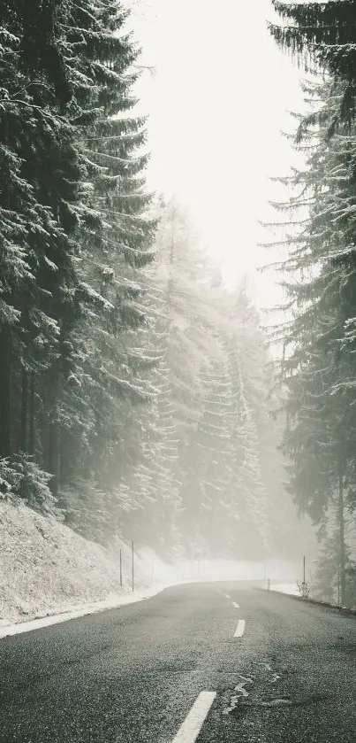 Scenic winter forest road with frosty trees and misty atmosphere