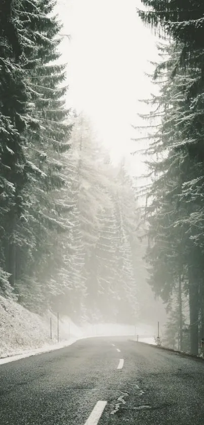 Snow-covered forest road in winter scenery.