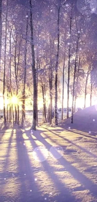 Serene winter forest with sunlight through trees on snow.