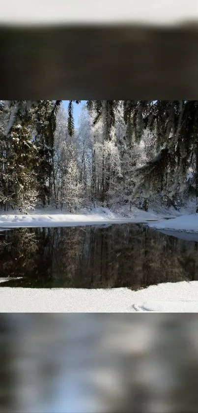 Serene winter forest scene with snow and pond.