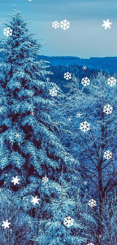 Winter forest landscape with snow and blue sky, nature wallpaper.