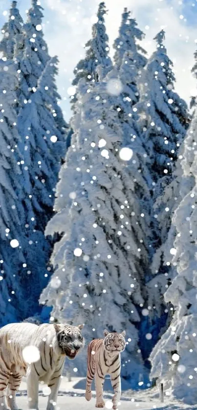 Snowy forest wallpaper with clear blue sky and snow-laden trees.