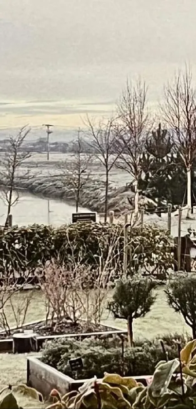 Serene winter garden landscape with frosty plants and river.