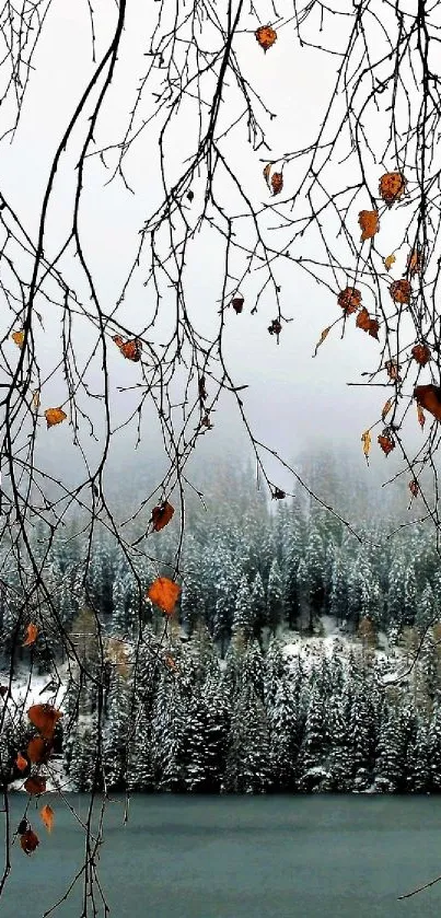 Serene winter lake view with snowy forest and tree branches.