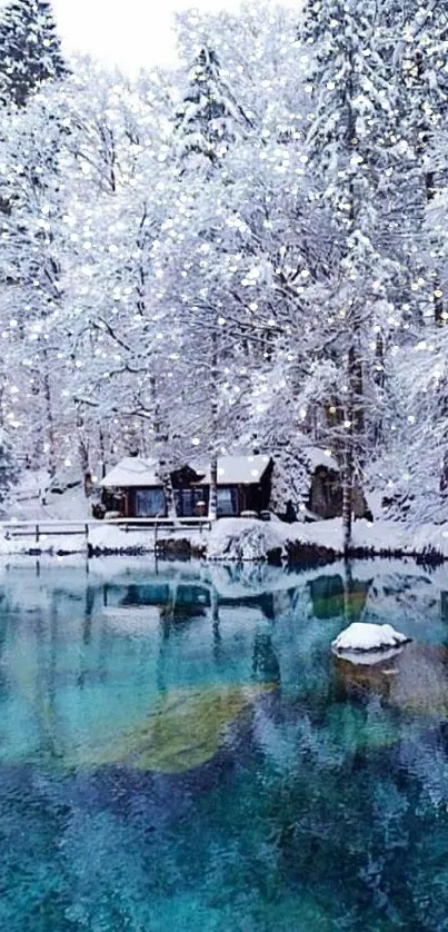 Snow-covered trees and a blue lake in winter.