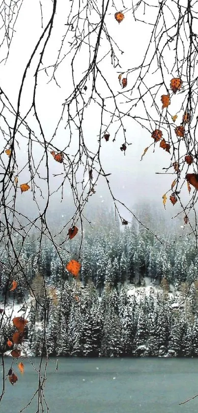 Serene winter lake wallpaper with snow-covered trees and branches.