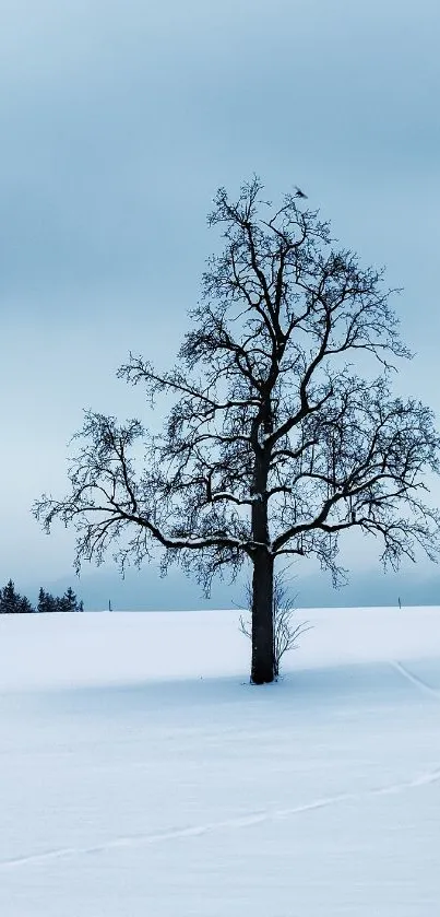 Serene snow-covered field with a lone tree under a cloudy sky.