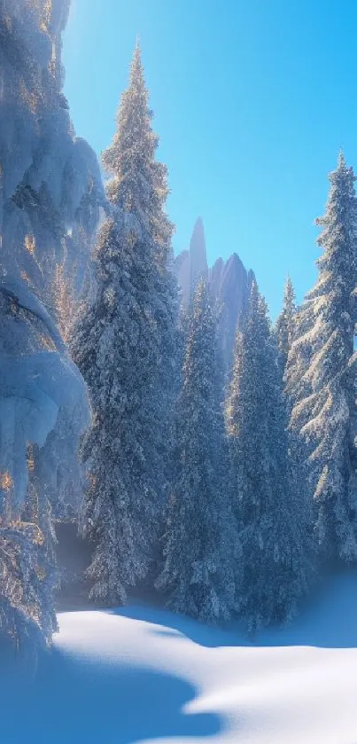 Snow-covered trees against a blue sky.