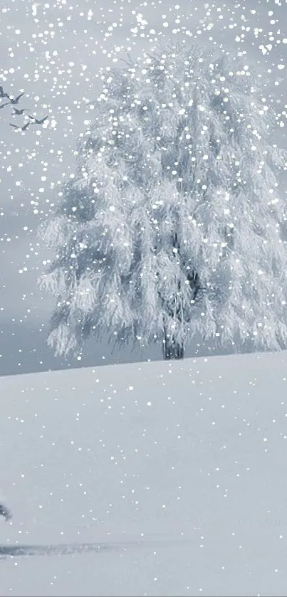 Serene winter landscape with snow and frosted tree.