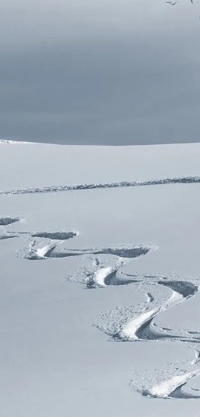 Serene winter landscape with snow and lone tree in gray hues.