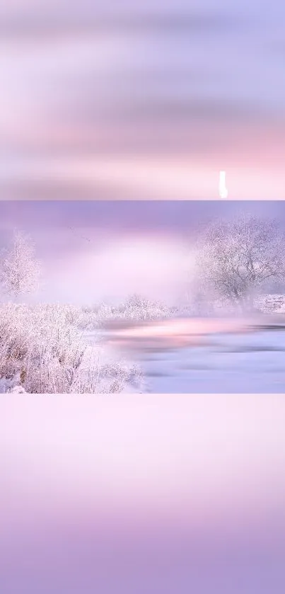 Serene winter landscape wallpaper with frosty trees and a calm river under a pink sky.