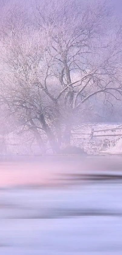 Snow-covered tree in a lavender winter landscape.