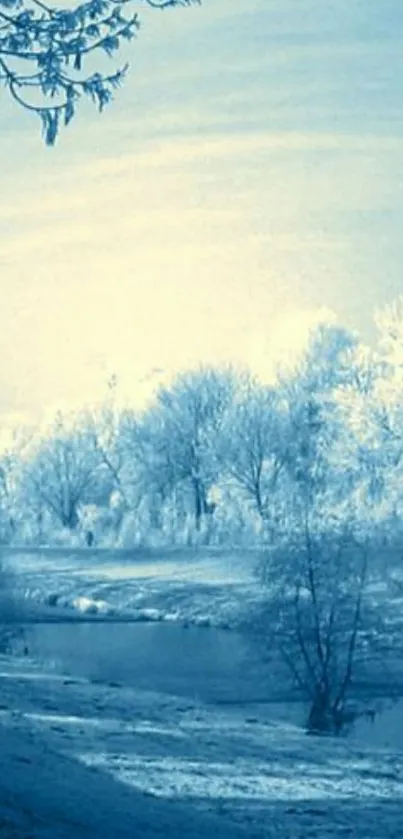 Serene winter landscape with snow-covered trees and a tranquil frozen scene.