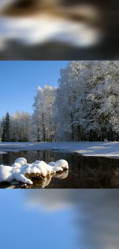 Serene winter landscape with snow-covered river and trees under a blue sky.