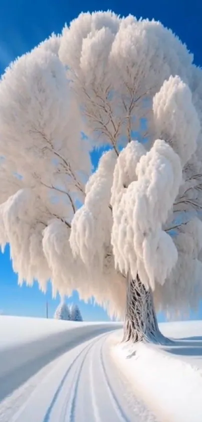 Snow-covered tree under a clear blue sky