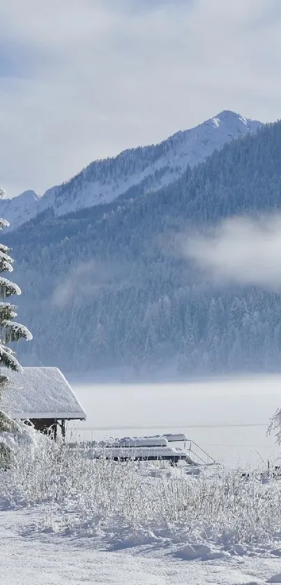Snow-covered cabin and pine tree in a winter mountain landscape.