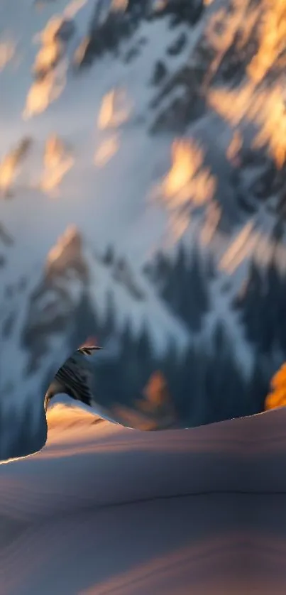 Winter mountain landscape with sunset glow.