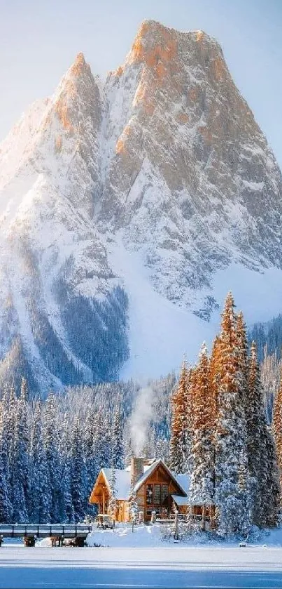 Snowy mountain with cabin and trees under a blue sky.