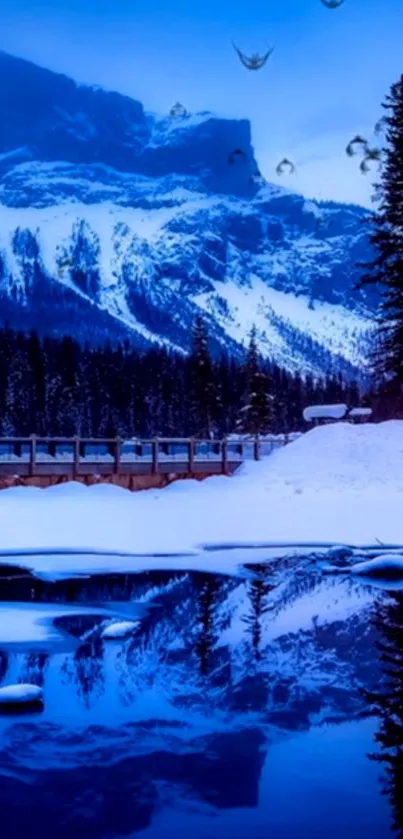 Snowy mountain reflecting in a still lake.