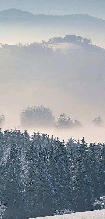 Snowy forest with misty hill backdrop.