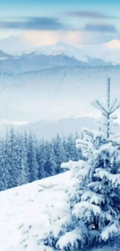 Winter mountain wallpaper with snow-covered trees.